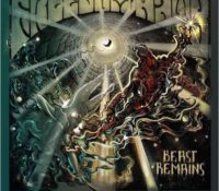 Freedom Hawk 'Beast Remains'