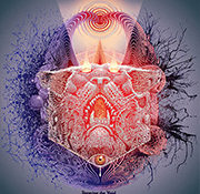 Forming the Void 'Reverie'