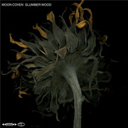 Moon Coven 'Slumber Wood'